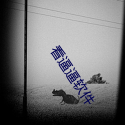 看逼逼軟件