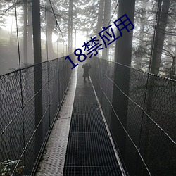 18禁應用