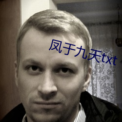 鳳于九天txt