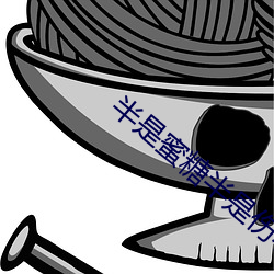 半是蜜糖半是伤小说