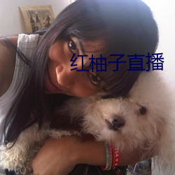 红柚子直播 （成心