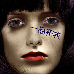 一品平民