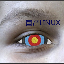 国产LINUX