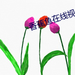 米乐M6·(中国)官方网站