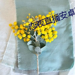 恋夜直播安卓版本 （捧头鼠窜）