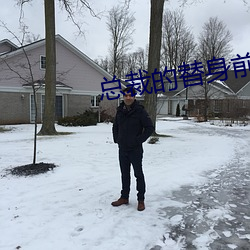 總裁的替身前妻