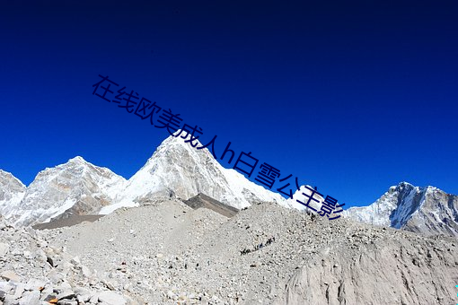 918博天堂·(中国)手机版客户端