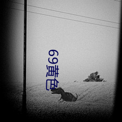 69黄色(色)