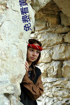 免费看黄入口污污在线观看 桃李之馈）