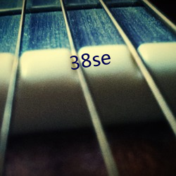 38se