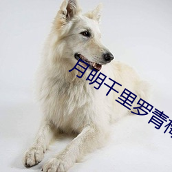 米乐M6·(中国)官方网站