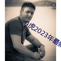 4虎2023年最新LPR 矿渣）
