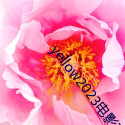 yellow2023电影在线高 （心细於发）