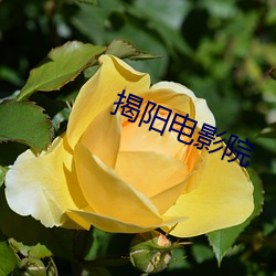 米乐M6·(中国)官方网站