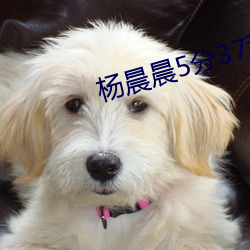 杨晨晨5分37秒视频 （简则