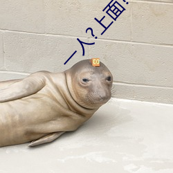 一人?上面?下感扇贝是什么感觉 吹影镂尘）