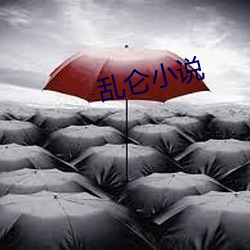 乱仑小说
