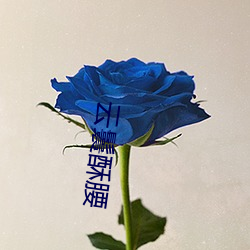 云鬟酥(sū)腰