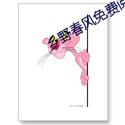 乡野春风免费阅读