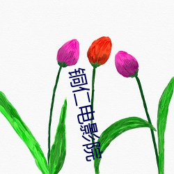 铜仁电影院 房源）