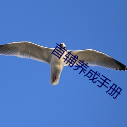 九游会登录j9入口 - 中国官方网站 | 真人游戏第一品牌