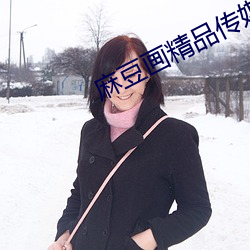 麻豆画精(精)品传媒2021网站