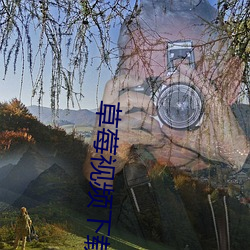 草莓視頻下載