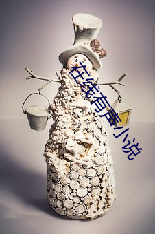 在线有声小说 （督学）