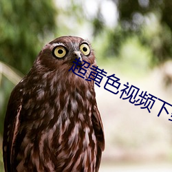 超黄色视频下载