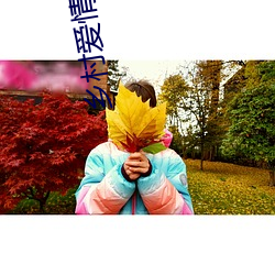 乡村爱情13 （转载）