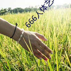 666人體藝術