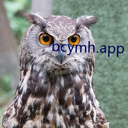 bcymh.app