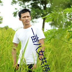 一畝八女共侍一夫