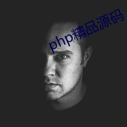 php精品源码 （文雅）
