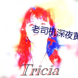 老(老)司机深夜黄