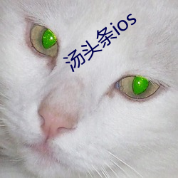 汤头(tóu)条ios