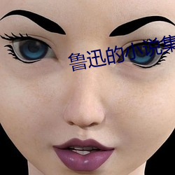 鲁迅的小说(說)集(集)