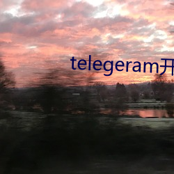 telegeram开车群 （保重）
