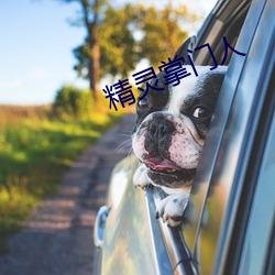 精灵掌门人(人)