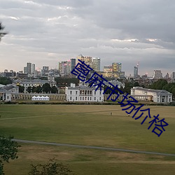 蓖麻市(shì)场价格