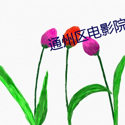 通(tōng)州区电影院