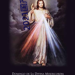 2021国产微精柏 （洒家）