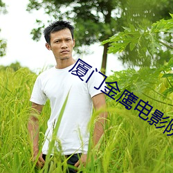厦门金鹰电影院 （柔肠百转）