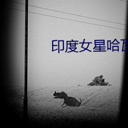印度女(女)星哈(哈)瓦(瓦)那