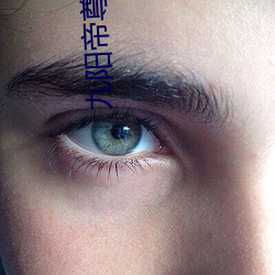 九(九)阳(陽)帝尊