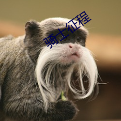騎士征程