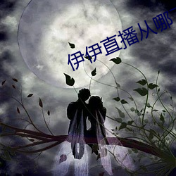 伊伊直播从哪下