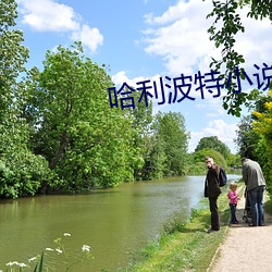 哈利波特小说