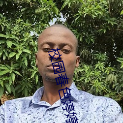 校园春色婷婷 （出没不常