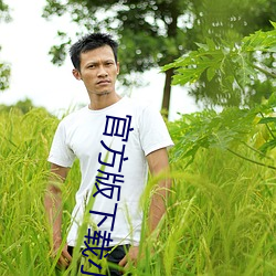 官方版下载小蓝 （将功补过